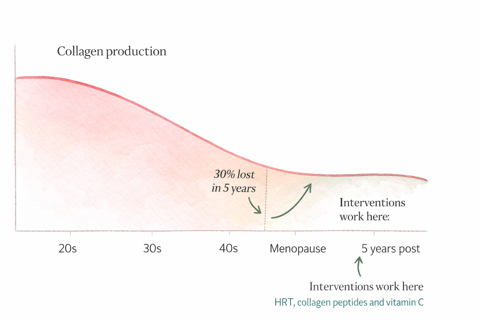 Chart showing collagen production declining across a woman's life, with a steep 30% drop in the first 5 years after menopause, and an annotation showing where interventions like HRT, collagen peptides and vitamin C work